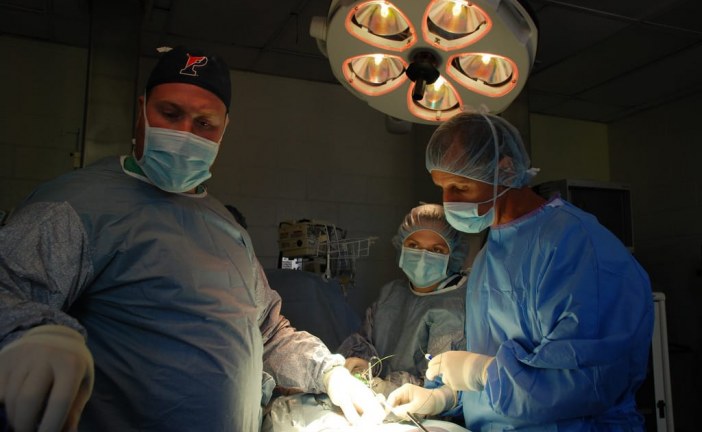 מחקר: כלבי הרחה גילו סרטן בלוטת התריס