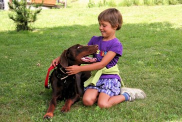 מחקר: טיפול בעזרת כלבים בילדים עם מוגבלויות