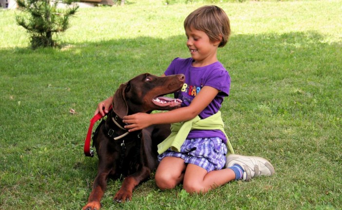 מחקר: טיפול בעזרת כלבים בילדים עם מוגבלויות