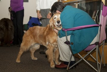 מחקר: טיפול בעזרת כלבים בבית אבות