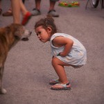 הפנים החדשות של טיפול בסיוע בעלי חיים