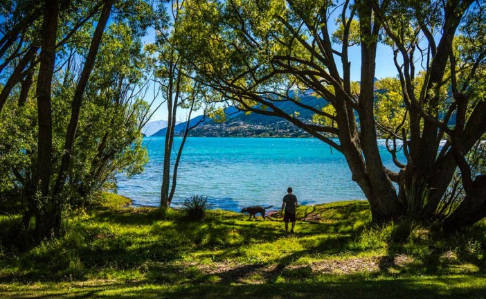 פארק לכלבים: למה זה רעיון בעייתי
