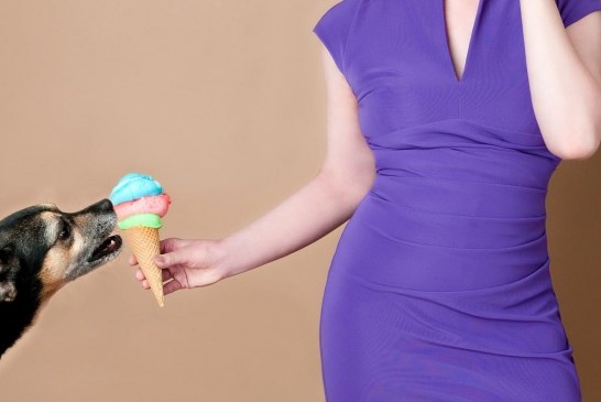 כלבים מזהים אנשים לא אמינים