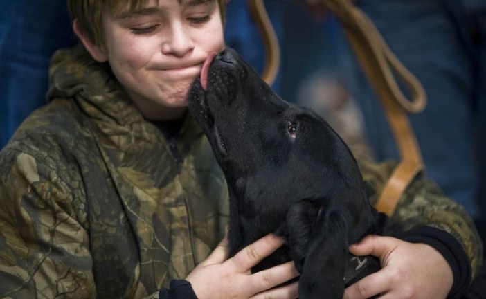נשיקות מכלבים טובות בשבילך!