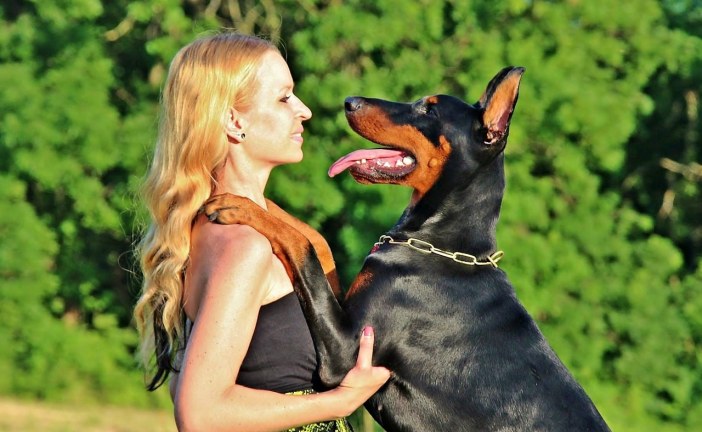 10 דרכים סודיות שבהם הכלב שלך אומר אני אוהב אותך