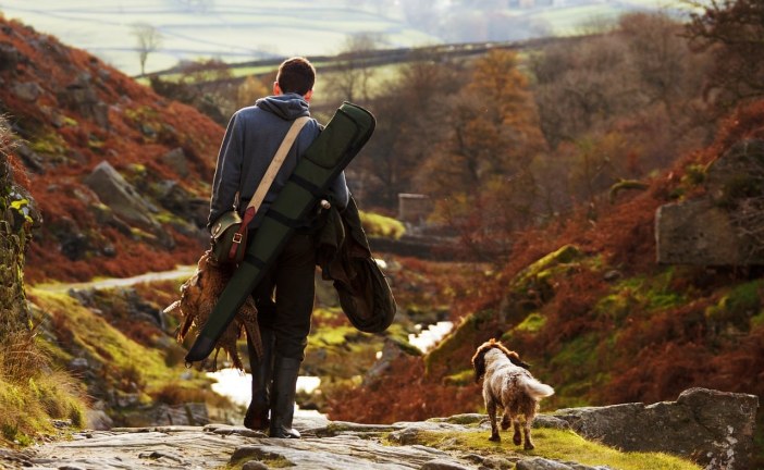 5 סיבות מדוע כדאי לצאת עם גבר אוהב כלבים