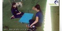 קייטנת אילוף כלבים בבית עזרא ילדות מכינות שלטים לתחרות