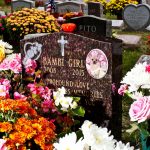 בתי הקבורה בניו יורק יאפשרו לכלבים להקבר ליד בעליהם