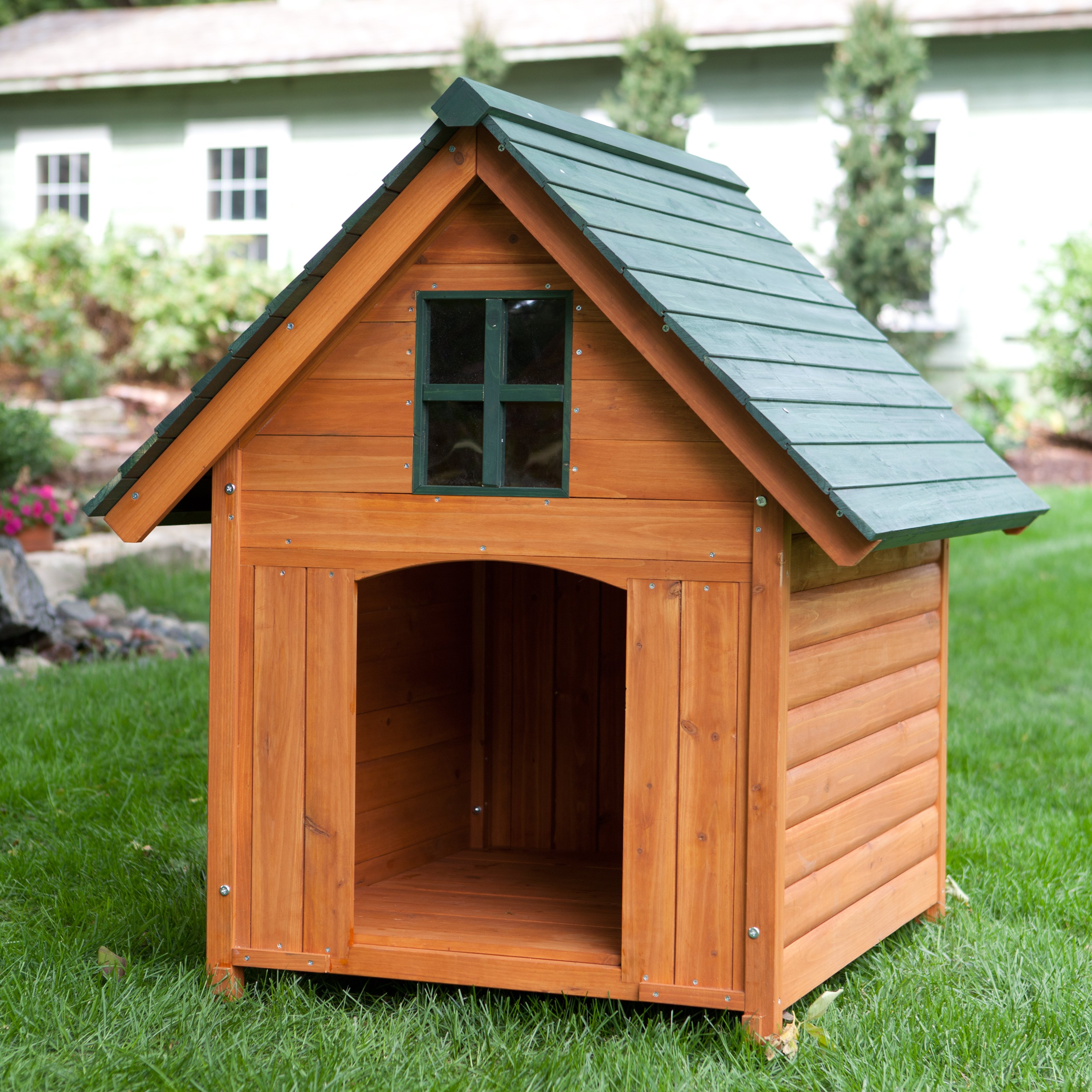 dog-house-dogs-for-people